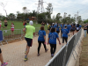 corrida (80)