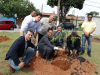 OAB plantio mudas (19)