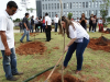 OAB plantio mudas (64)