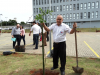 OAB plantio mudas (72)