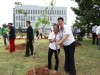 OAB plantio mudas (74)