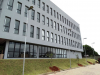 OAB plantio mudas (79)