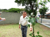 OAB plantio mudas (80)