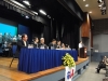 laurea (12)