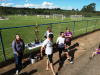 Final society (346)
