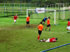 domingo (2)