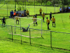 fut_24fev (429)