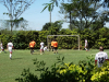 Classificatoria (114)
