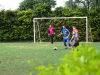 Classificatoria (434)