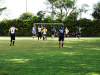 Quartas final (217)