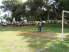 Quartas final (231)