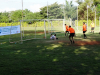 Quartas final (271)