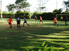 Quartas final (276)